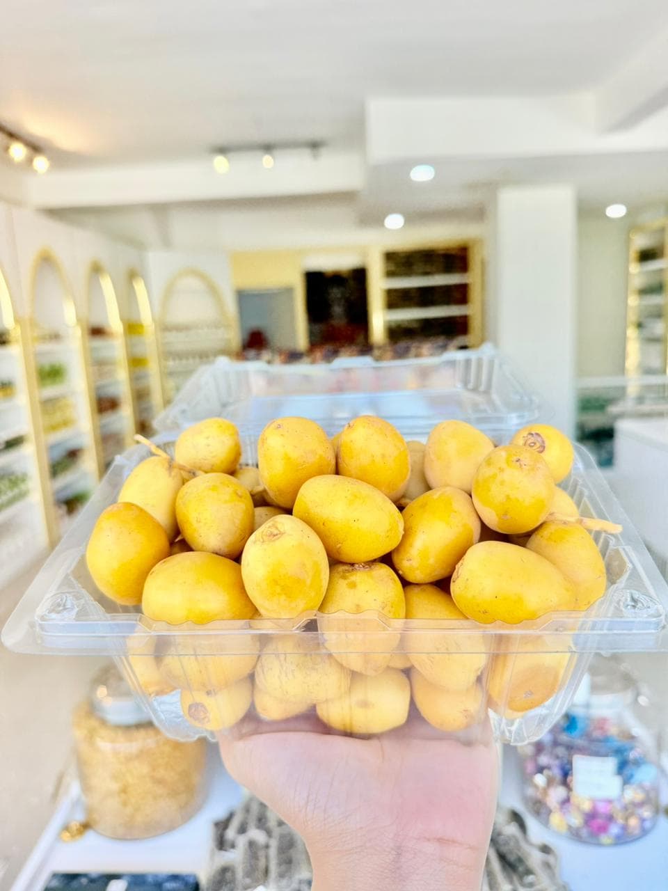 Kurma Muda